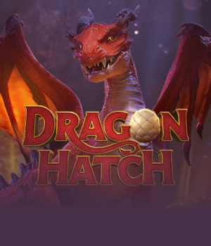 Dragon Hatch